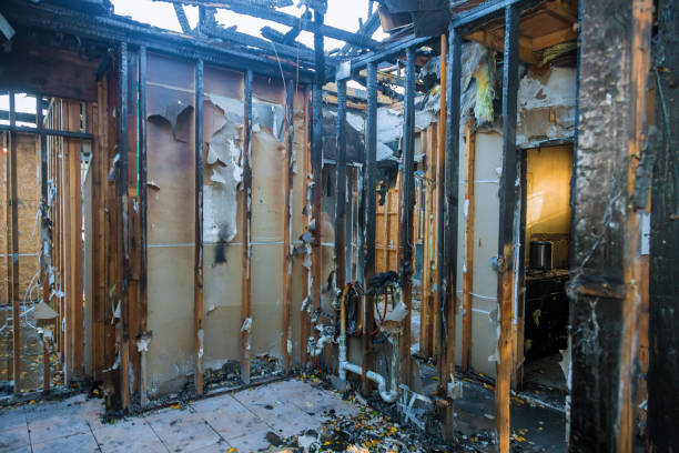 Professional Fire Damage Removal technician working in Buckhead Ridge, FL